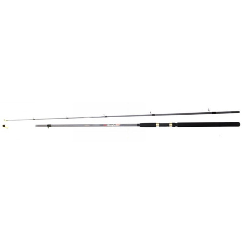 Спиннинговое вудилище Братфишинг G-SPINNING RODS, довжина 3,0 м, тест 5-25г