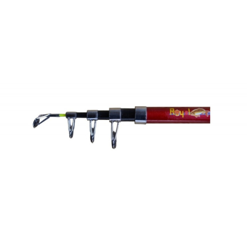 Спінінг для риболовлі, DrAGON Royal Fish, тест 80-120г, довжина 1,8м