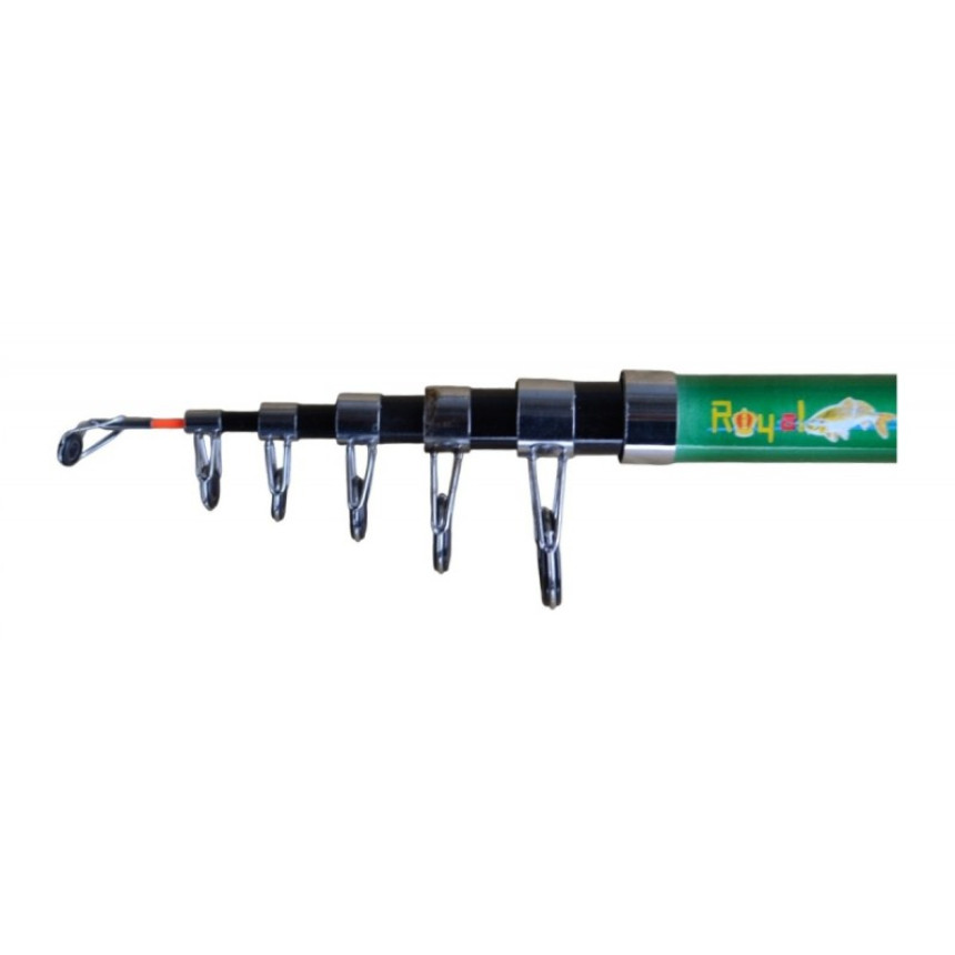 Спінінг для лову риби, DrAGON Royal Fish, тест 100-250г, довжина 3,0м